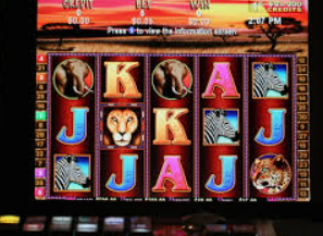 od体育在线2024最新版